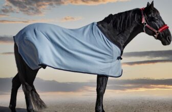 What Should You Look for When Buying a Horse Blanket?