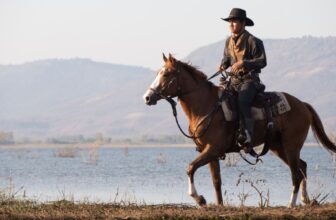 How Do You Choose the Right Saddle for Your Horse and Riding Style?