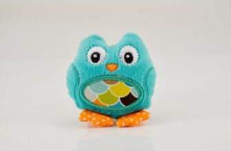 How Do You Introduce New Toys to Your Bird Without Stressing Them Out?