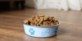 What Are the Benefits of Elevated Dog Bowls?