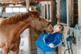How Do You Pick the Right Halter and Lead Rope for Your Horse?